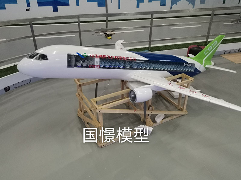 荆州飞机模型